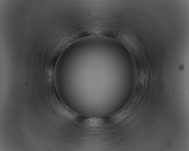 X0000091540526200708241736