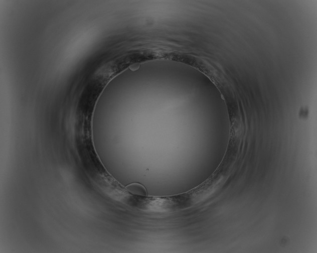 X0000091540527200708241736