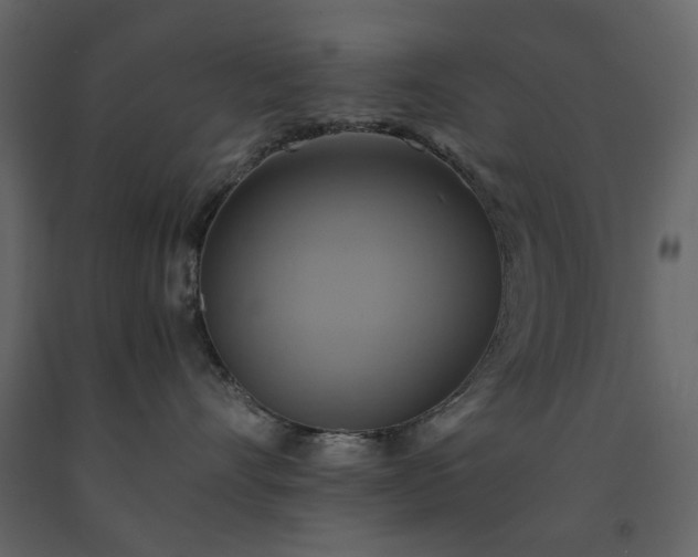X0000091540528200708241736