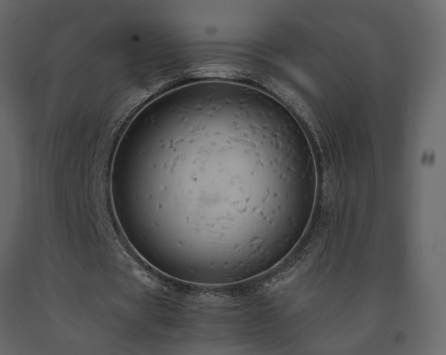 X0000091540529200708241736