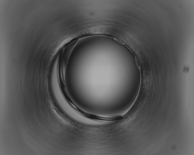 X0000091540530200708241736