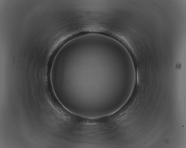 X0000091540531200708241736