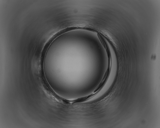 X0000091540532200708241736