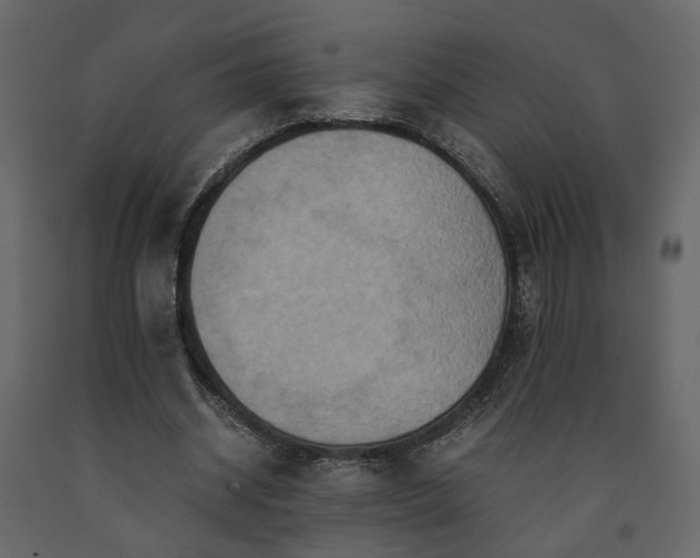X0000091540534200708241736