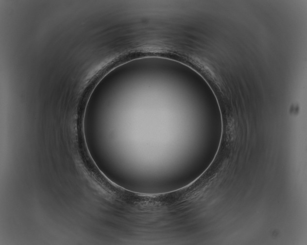 X0000091540535200708241736