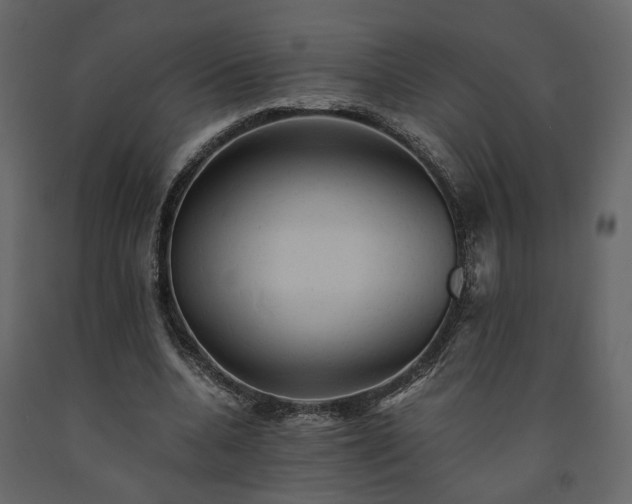 X0000091540536200708241736