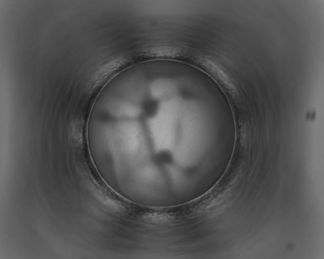 X0000091540537200708241736