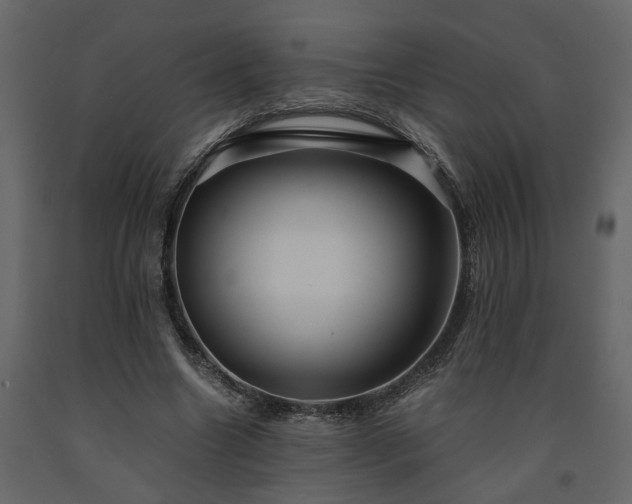 X0000091540538200708241736