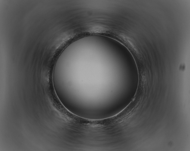 X0000091540539200708241736