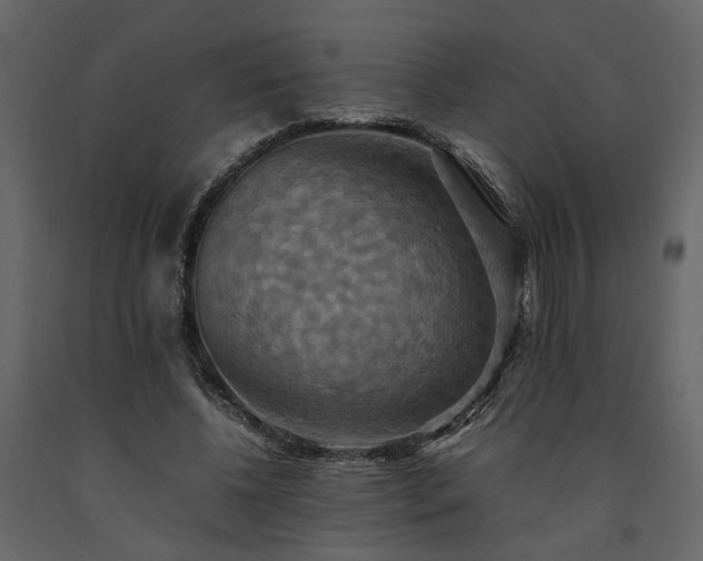 X0000091540540200708241736