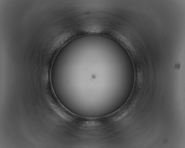 X0000091540541200708241736