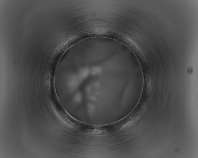 X0000091540542200708241736