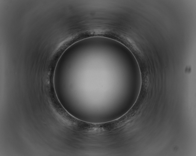 X0000091540543200708241736