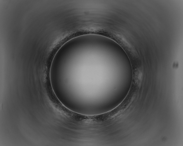 X0000091540544200708241736