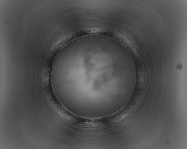 X0000091540545200708241736