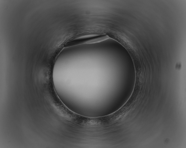 X0000091540546200708241736