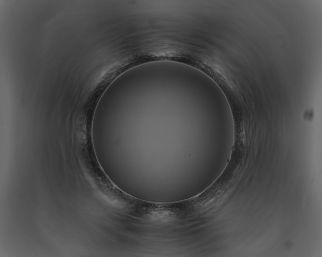 X0000091540547200708241736