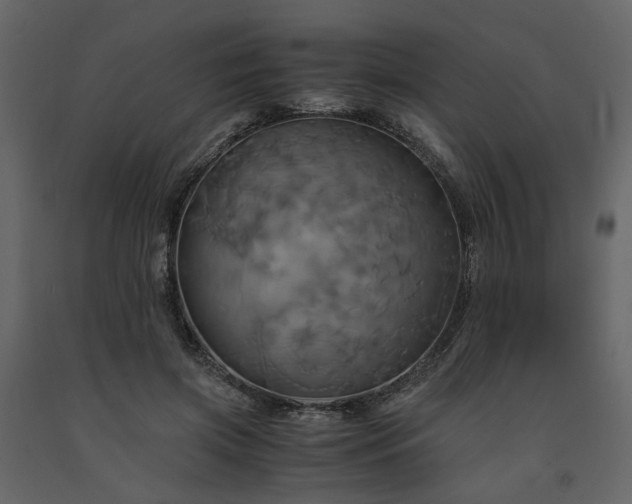 X0000091540549200708241736