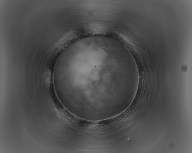 X0000091540550200708241736