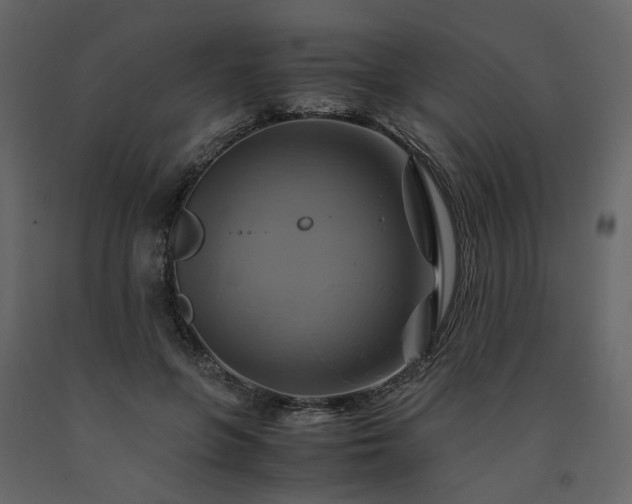 X0000091540551200708241736