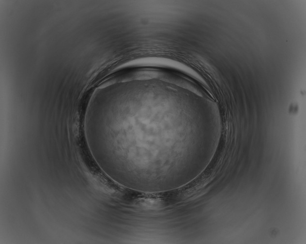 X0000091540552200708241736
