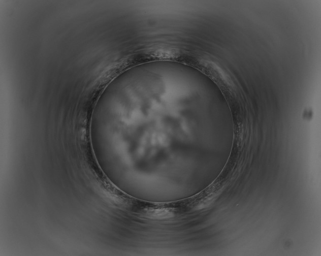 X0000091540553200708241736
