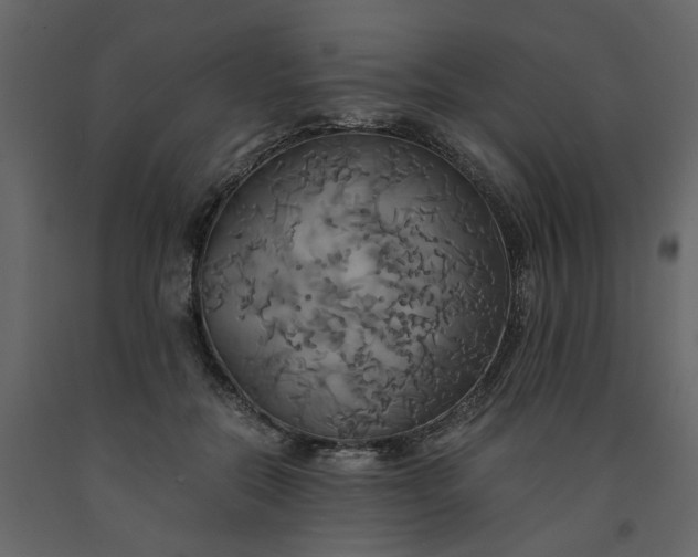 X0000091540554200708241736