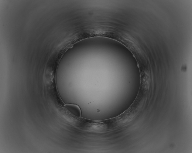 X0000091540555200708241736