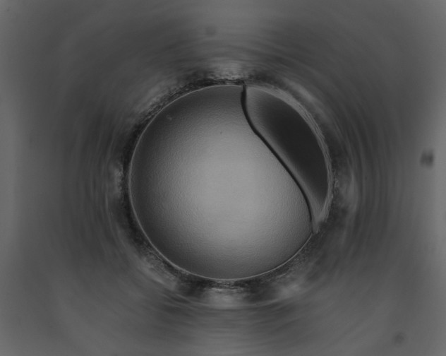 X0000091540556200708241736