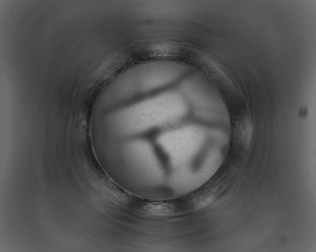 X0000091540557200708241736