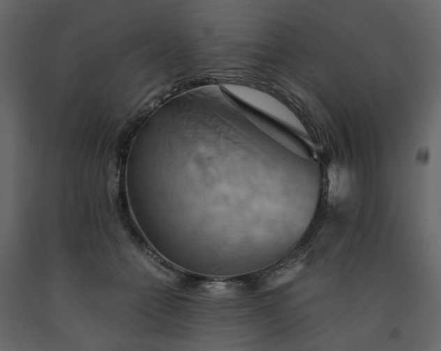 X0000091540558200708241736