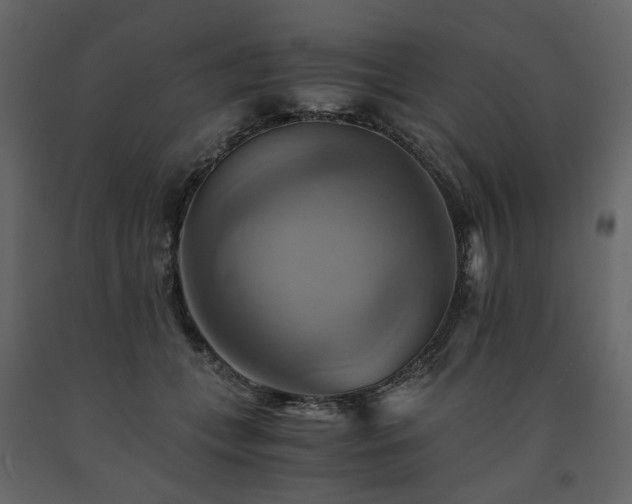 X0000091540559200708241736
