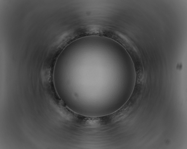 X0000091540560200708241736