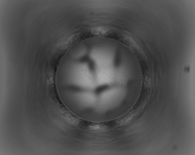 X0000091540561200708241736