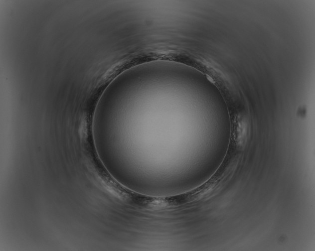 X0000091540562200708241736
