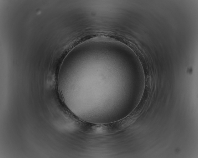 X0000091540564200708241736