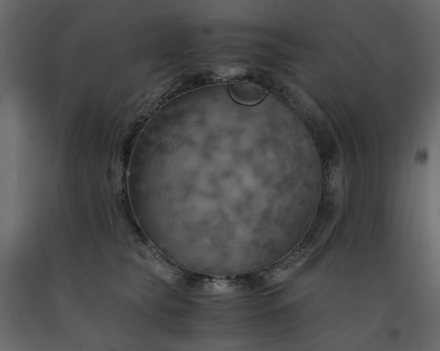X0000091540565200708241736