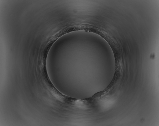 X0000091540566200708241736