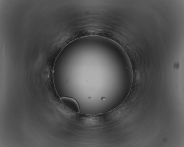 X0000091540567200708241736