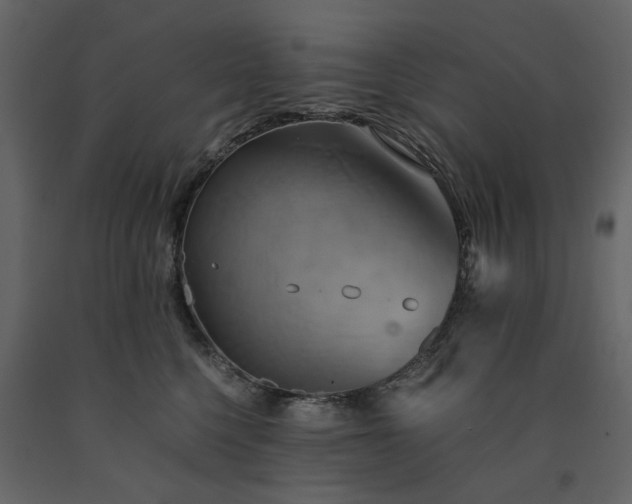X0000091540568200708241736