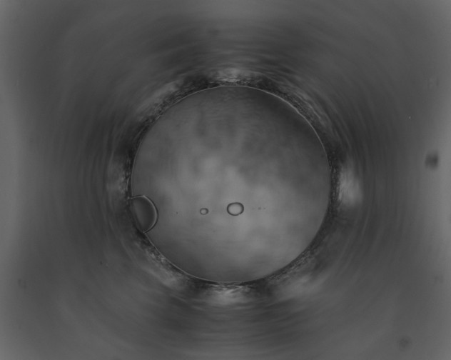 X0000091540569200708241736
