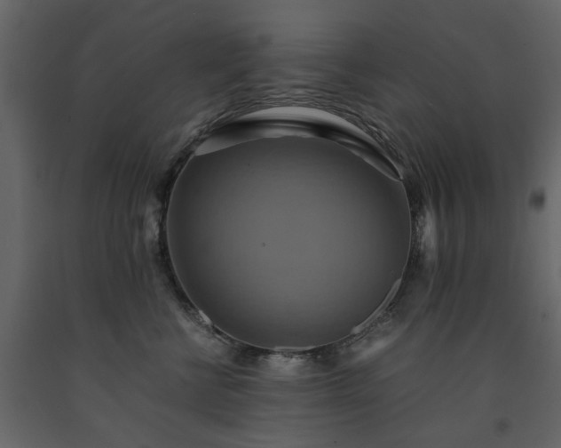 X0000091540570200708241736