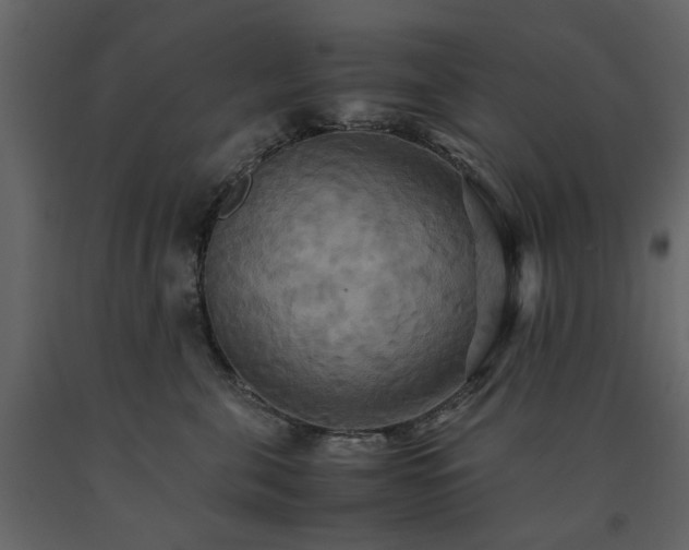 X0000091540571200708241736