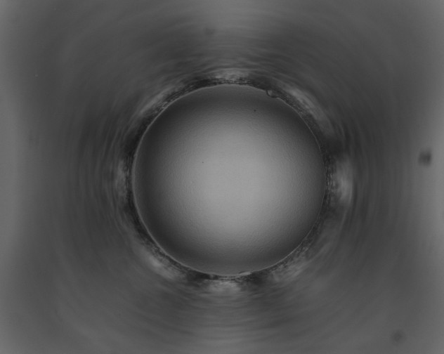 X0000091540572200708241736