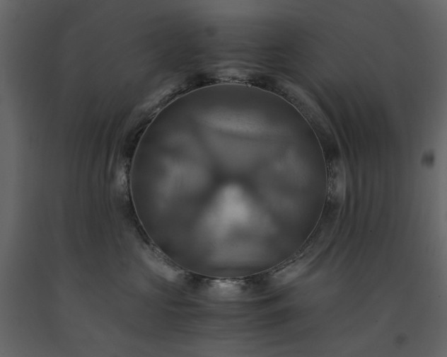 X0000091540573200708241736