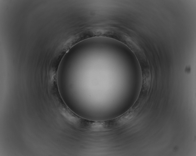 X0000091540574200708241736