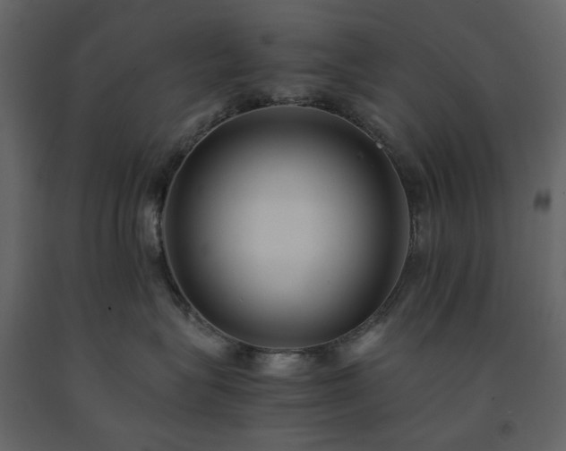 X0000091540575200708241736