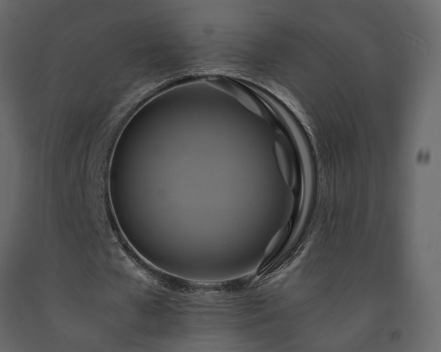 X0000091540577200708241736