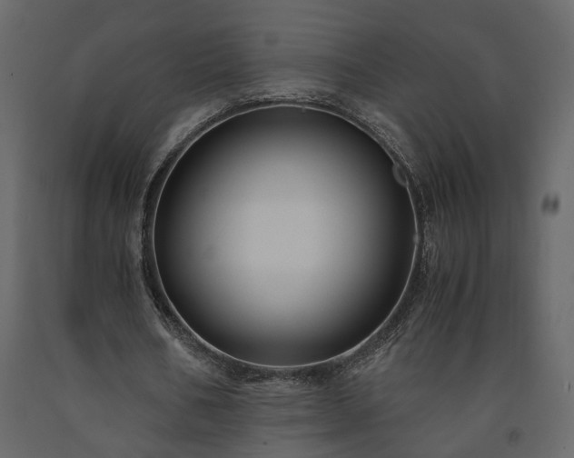 X0000091540578200708241736