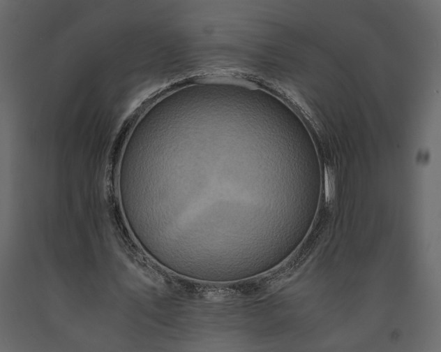 X0000091540579200708241736